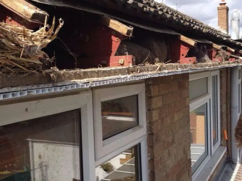 Old fascia, soffit and guttering before replacement in Surrey by City Building and Roofing Ltd