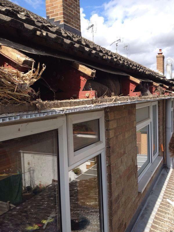 Deteriorated timber fascias and soffits on a Victorian terrace in Wandsworth before replacement